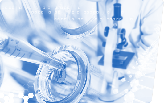 食品安全控制体系